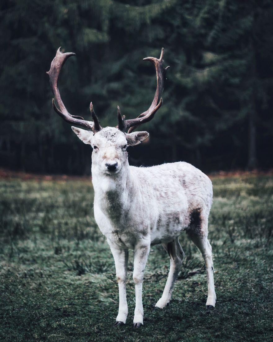 xach-ba-lo-len-va-di-34