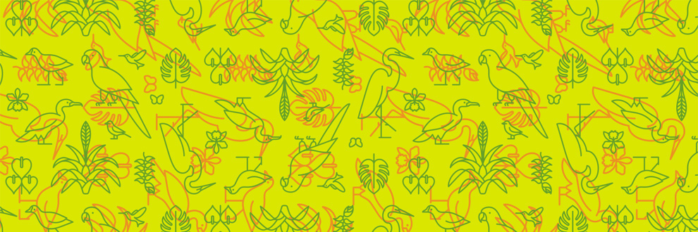 RGB.VN_RiodeJaneiro_13