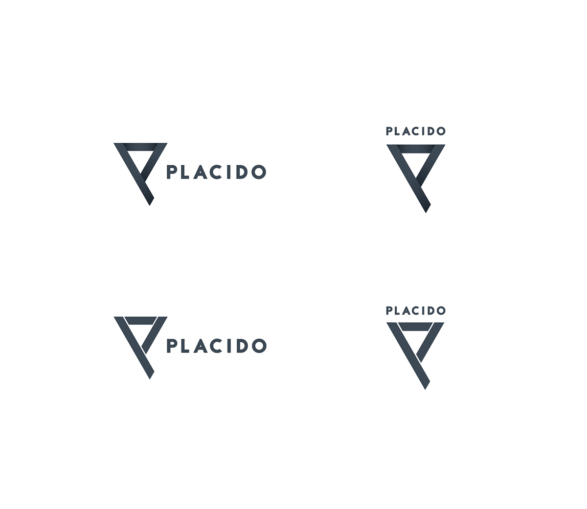 rgb.vn_camhunglogo_p33