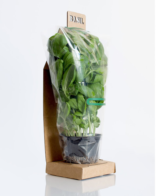 rgb.vn_camhungpackaging8_02