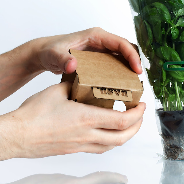 rgb.vn_camhungpackaging8_04