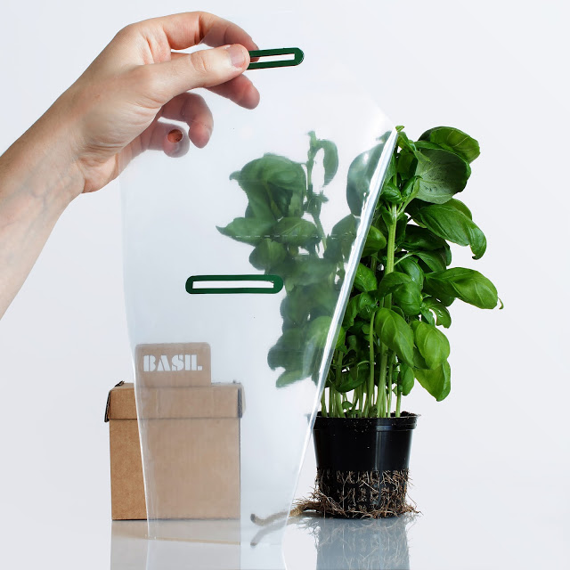 rgb.vn_camhungpackaging8_05