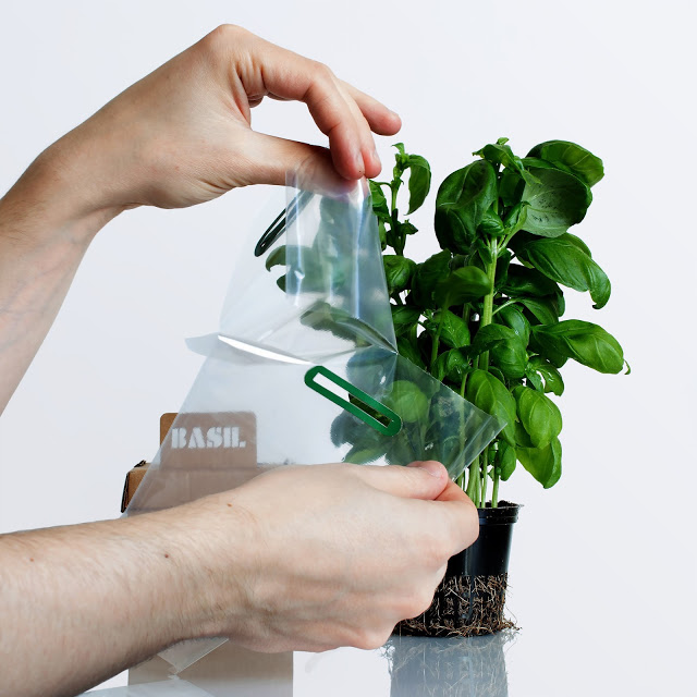 rgb.vn_camhungpackaging8_06