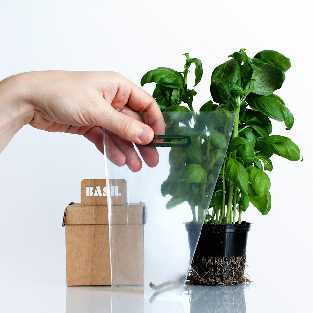 rgb.vn_camhungpackaging8_07