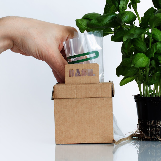 rgb.vn_camhungpackaging8_08