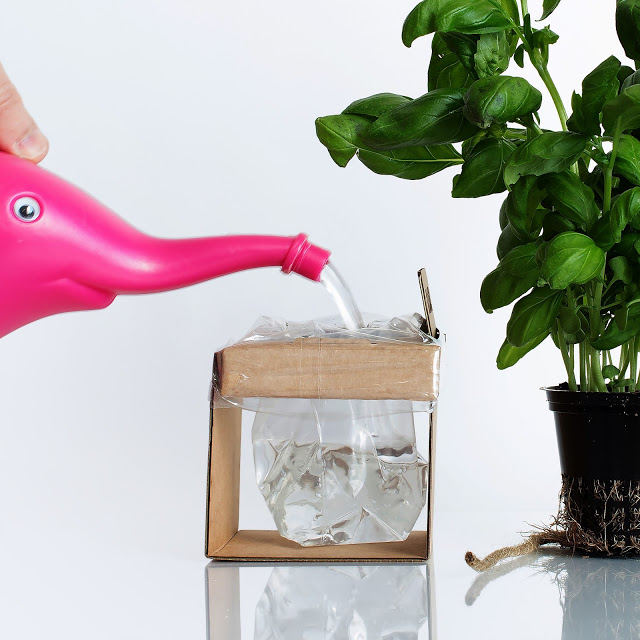 rgb.vn_camhungpackaging8_10