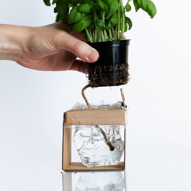 rgb.vn_camhungpackaging8_11