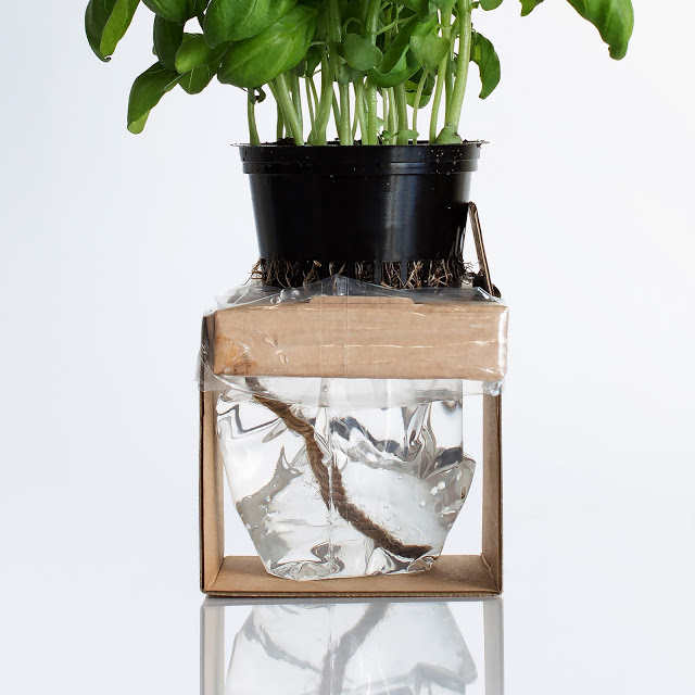 rgb.vn_camhungpackaging8_12