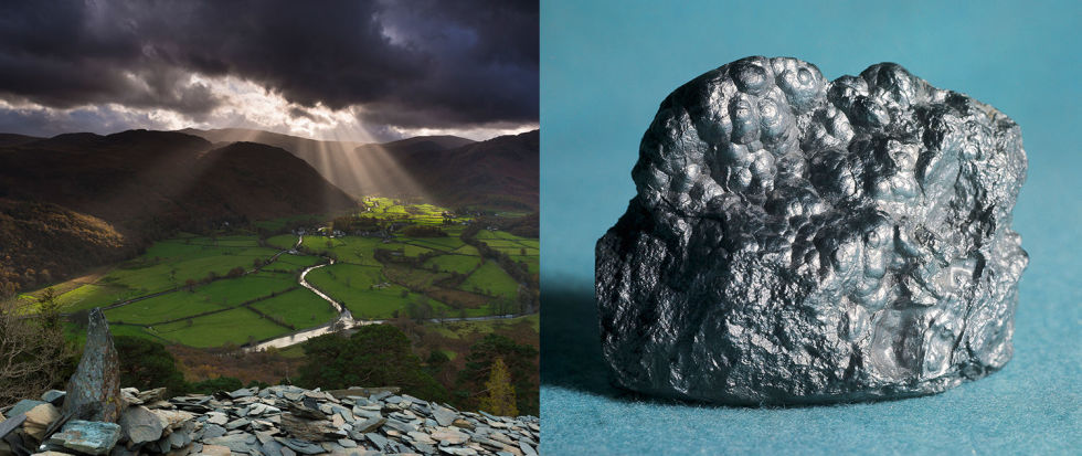 rgb.vn_hanh-trinh-500-nam-thong-tri-the-gioi-cua-cay-but-chi_01