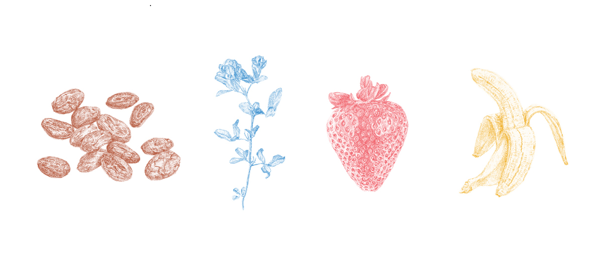 rgb.vn_milkpackaging16a