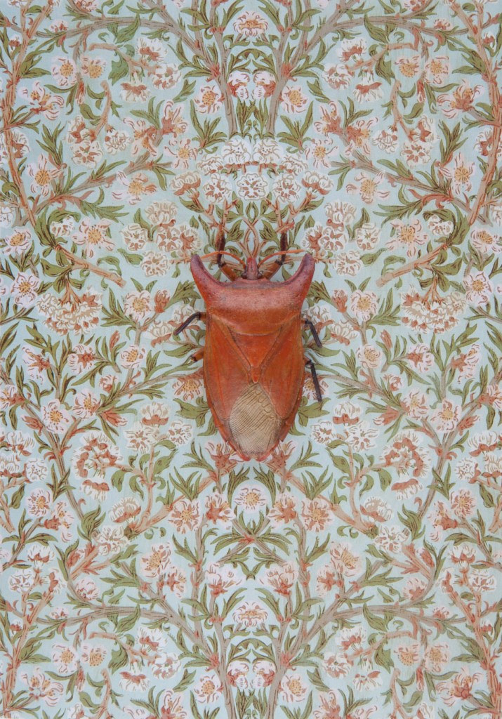 RGV.vn_arthropodia_02