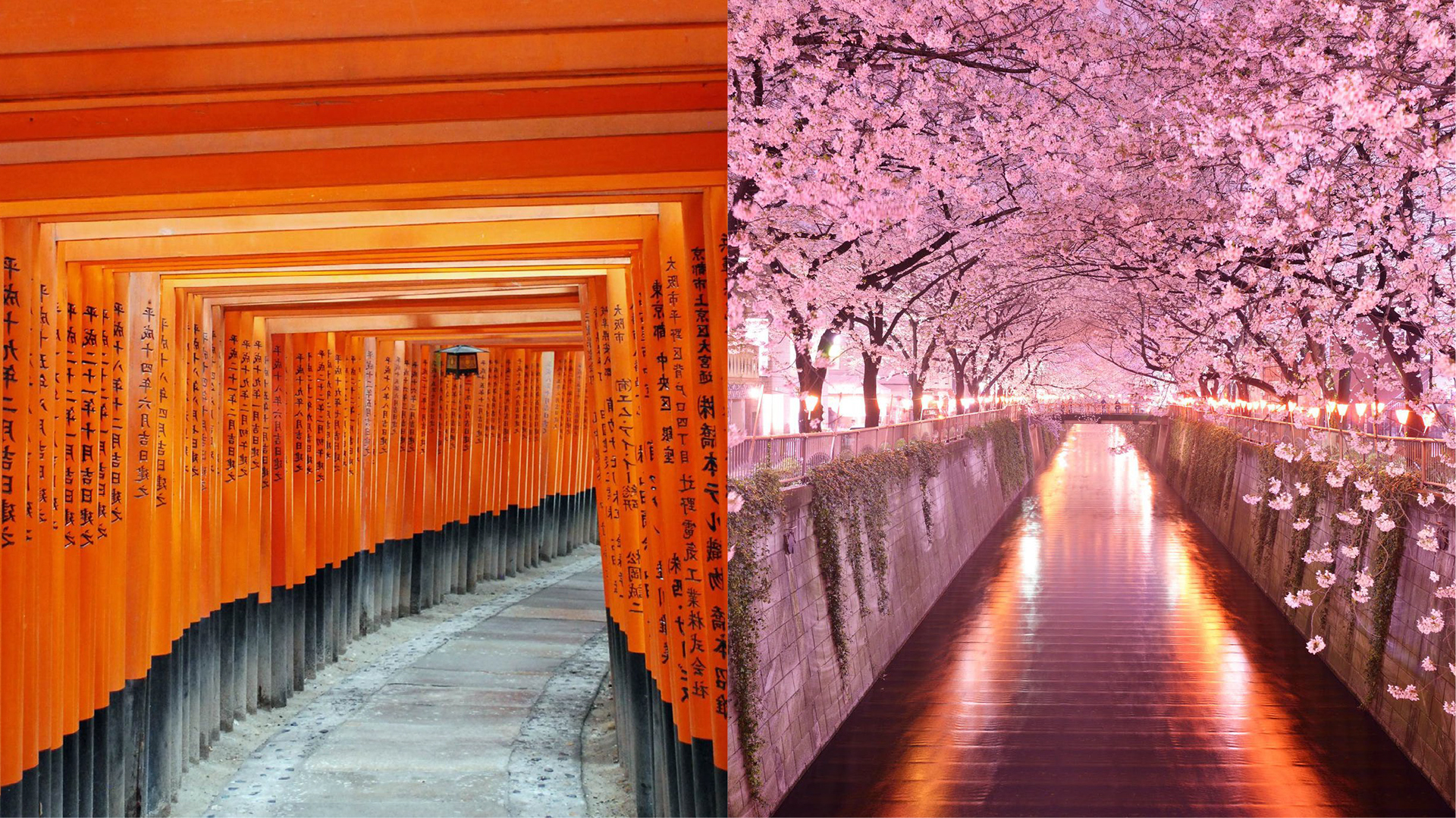 rgb.vn_natsuki-nguoi-nhat-cua-the-ki-21_51