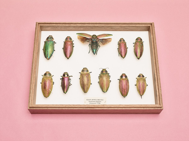 rgb_creative_33tamanhdepsony_22