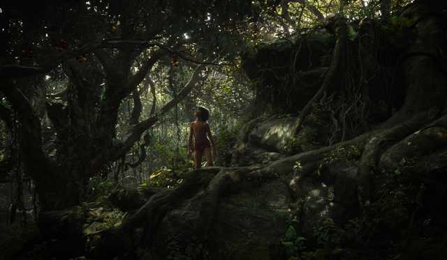 rgb_creative_oscar_vfx-junglebook-010