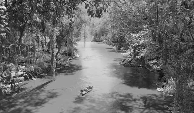 rgb_creative_oscar_vfx-junglebook-06