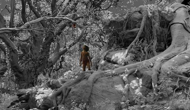 rgb_creative_oscar_vfx-junglebook-09