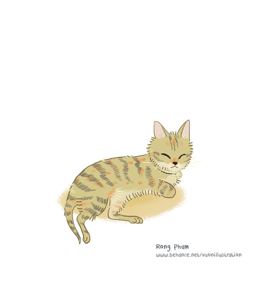 rgb_creative_rongpham_4