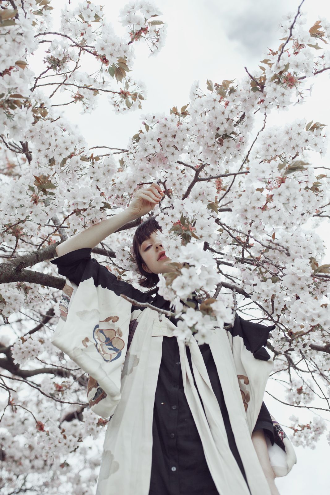 rgb_creative_springbird_1