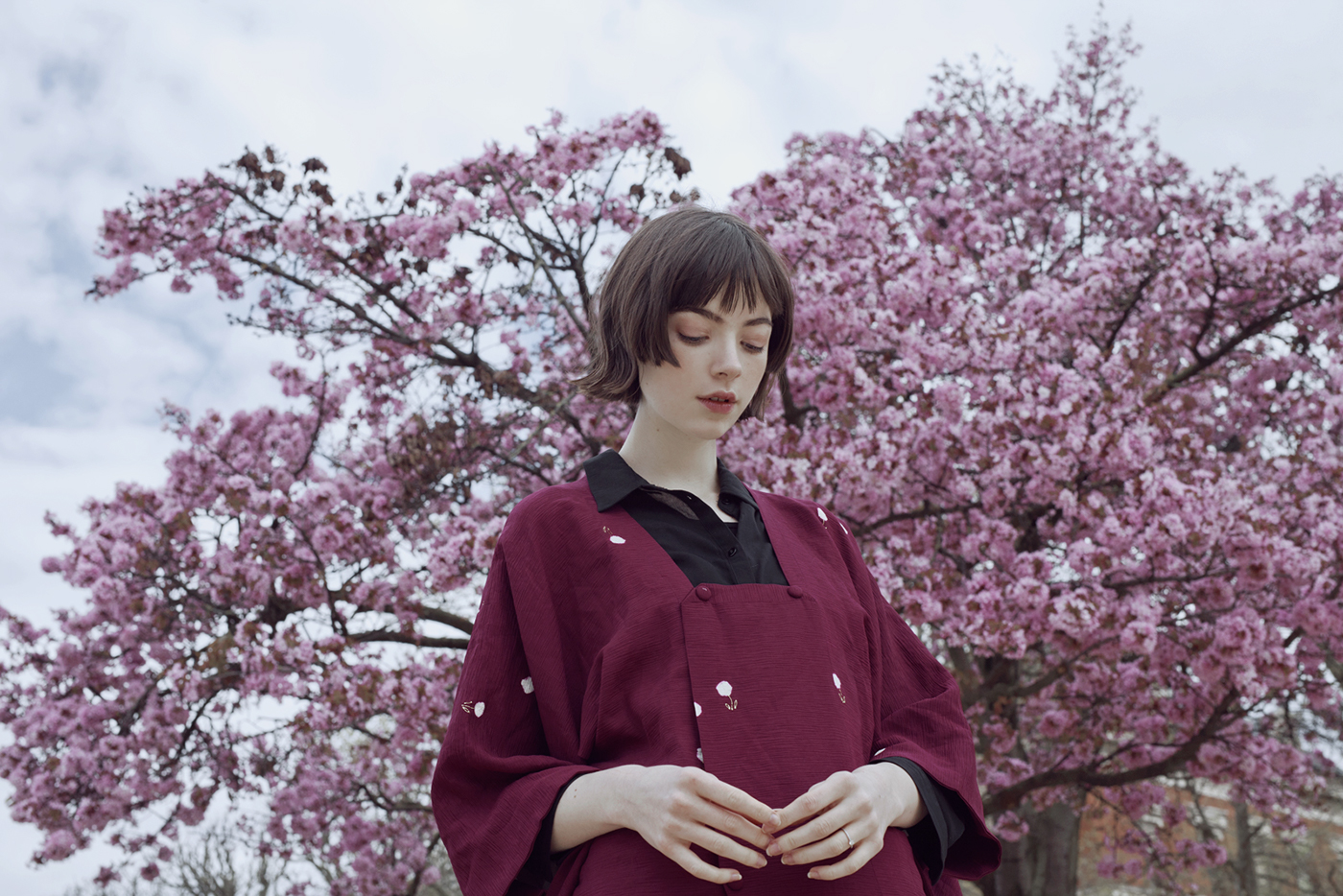 rgb_creative_springbird_10