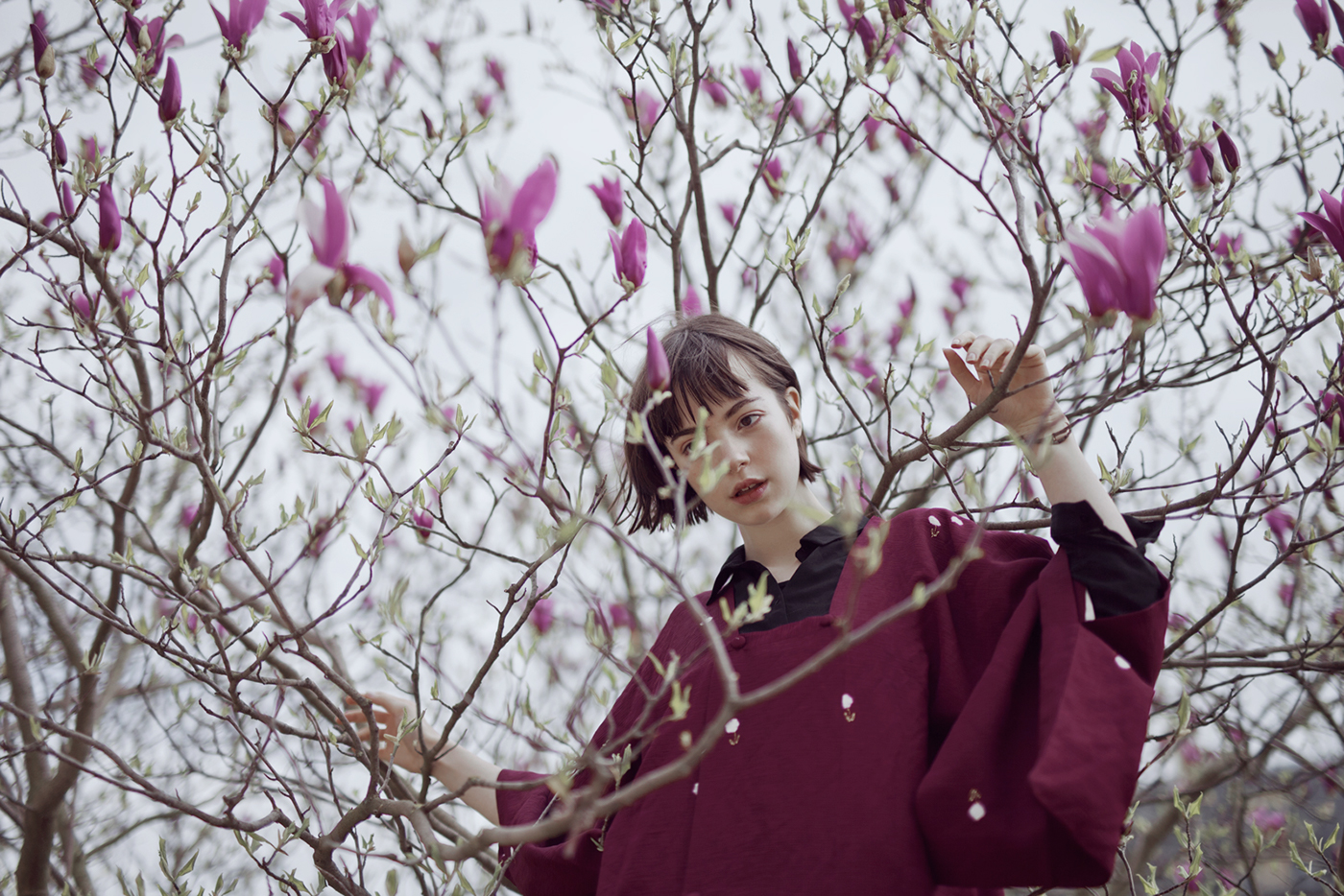 rgb_creative_springbird_11