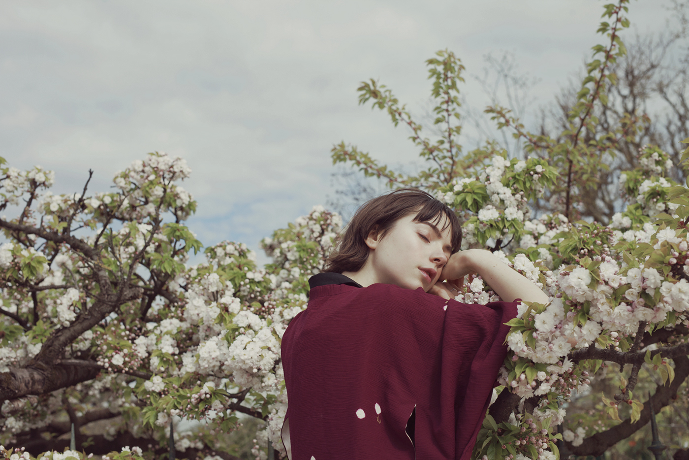 rgb_creative_springbird_12