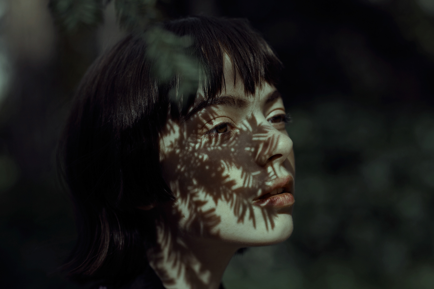 rgb_creative_springbird_15