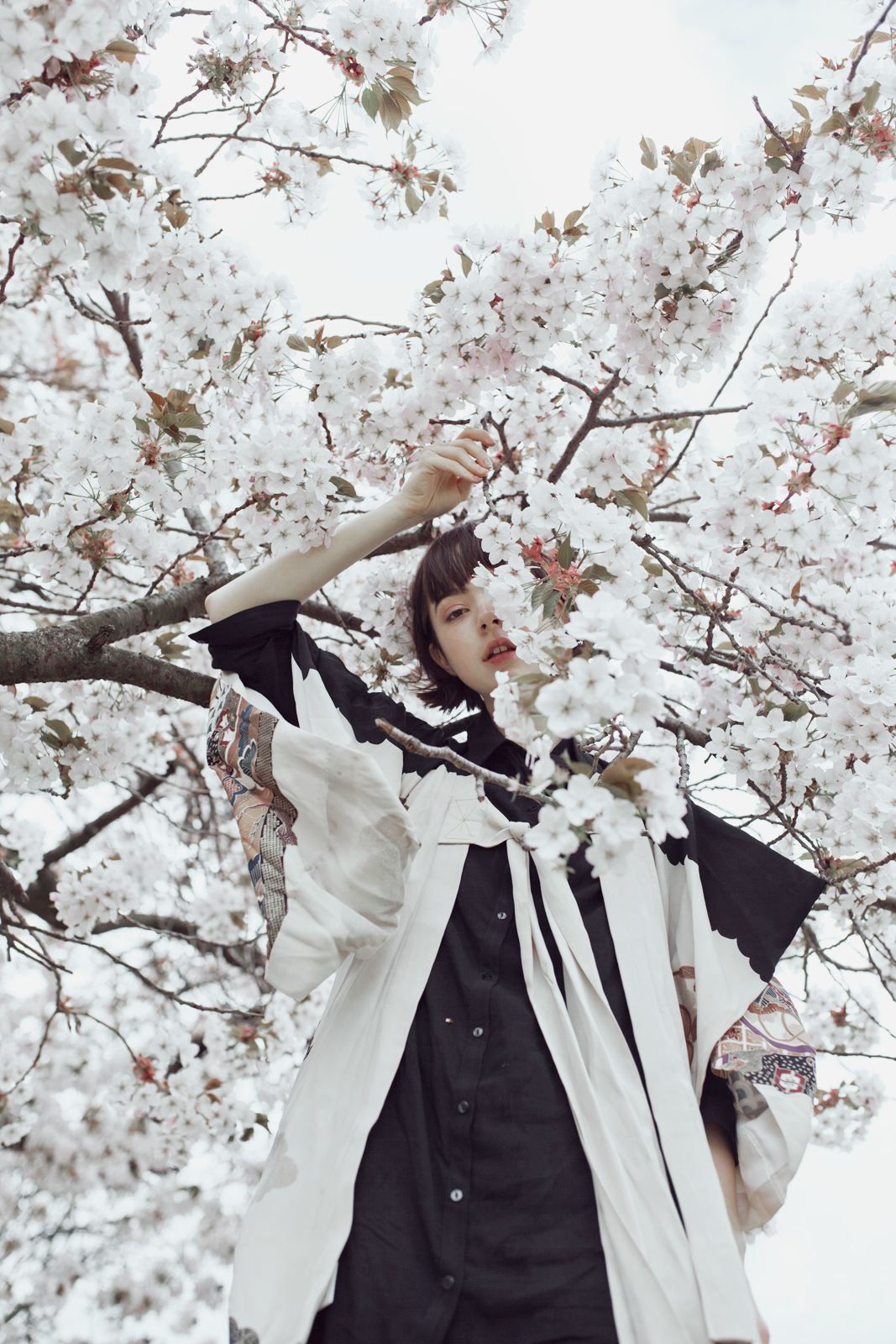 rgb_creative_springbird_2