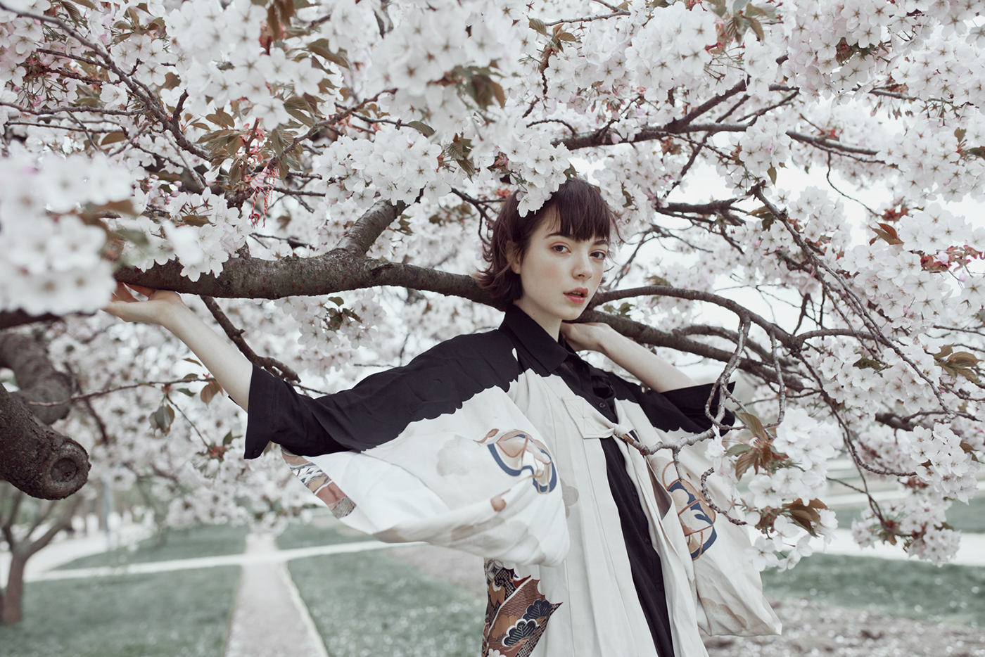 rgb_creative_springbird_3