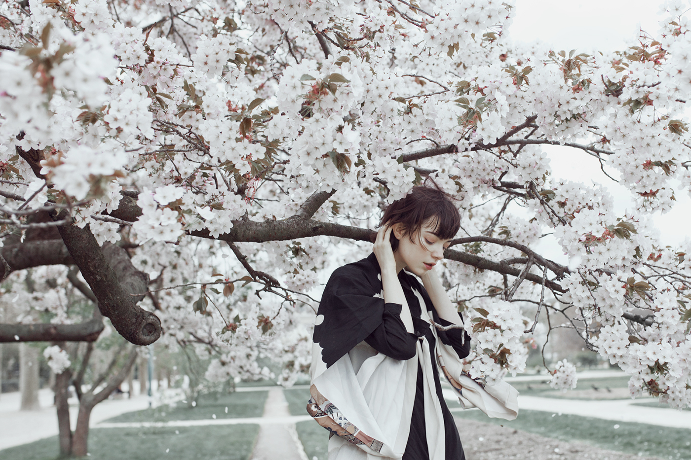 rgb_creative_springbird_4