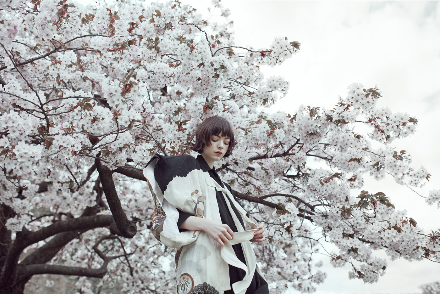 rgb_creative_springbird_5