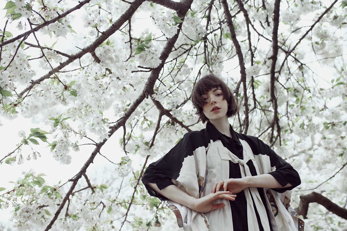 rgb_creative_springbird_6