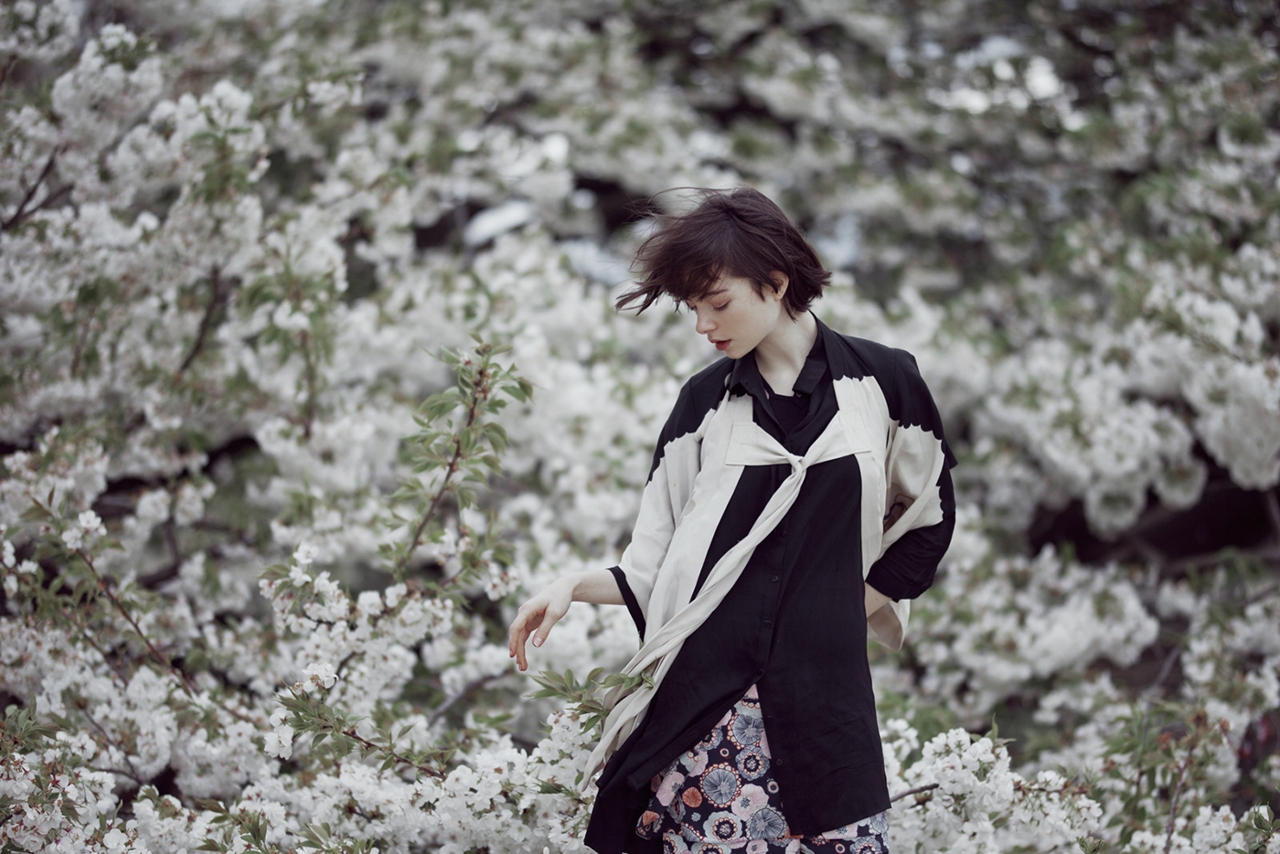 rgb_creative_springbird_8