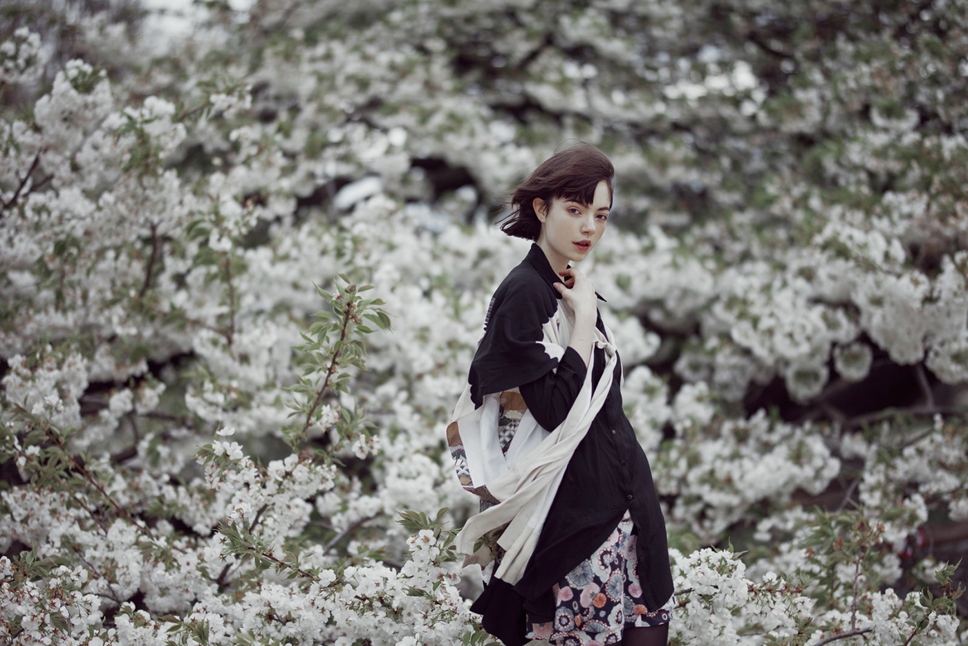 rgb_creative_springbird_9