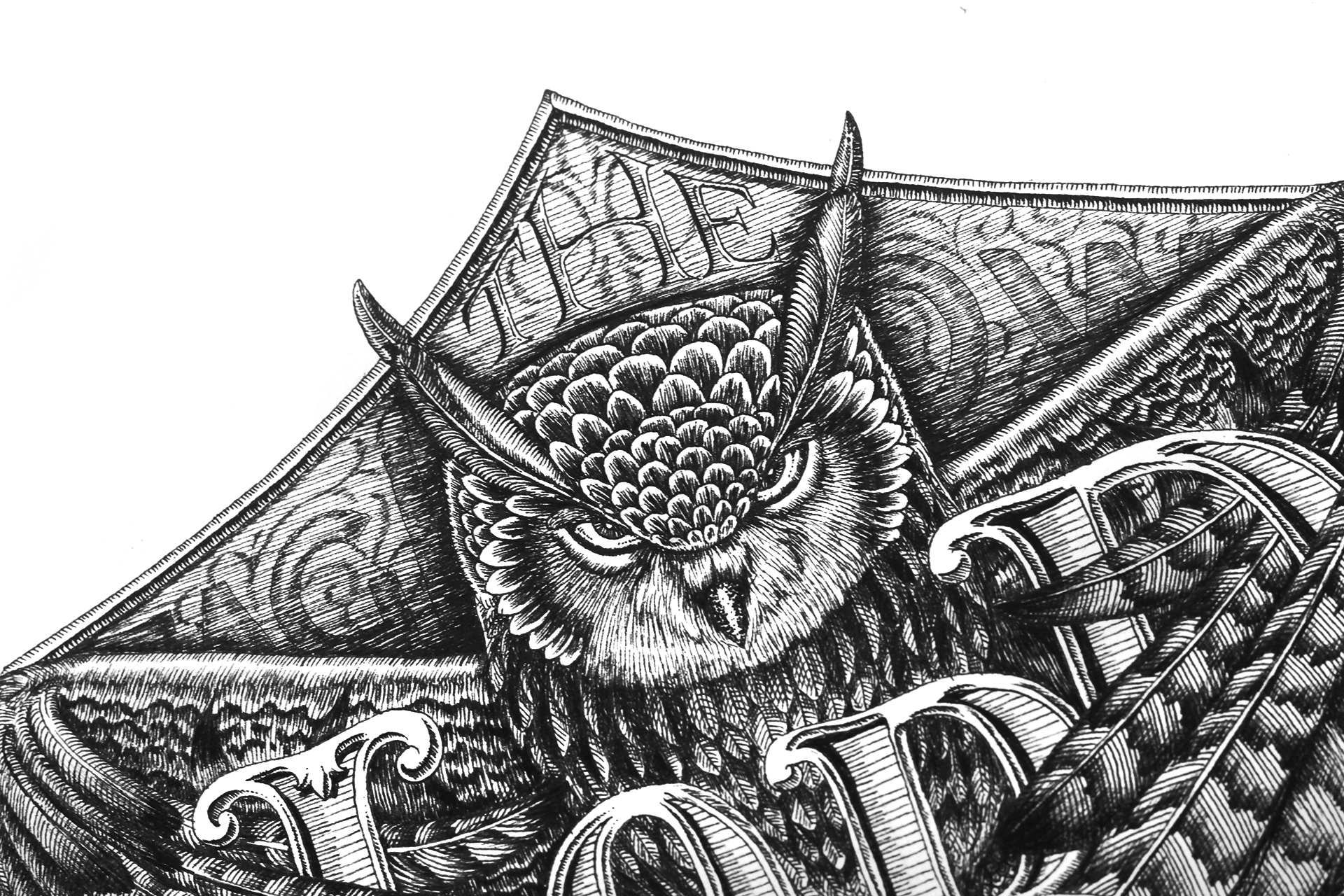 rgb_creative_trishiba_thelordofthenight_IMG_3641