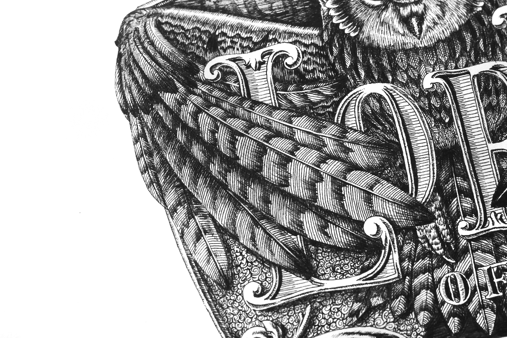 rgb_creative_trishiba_thelordofthenight_IMG_3645