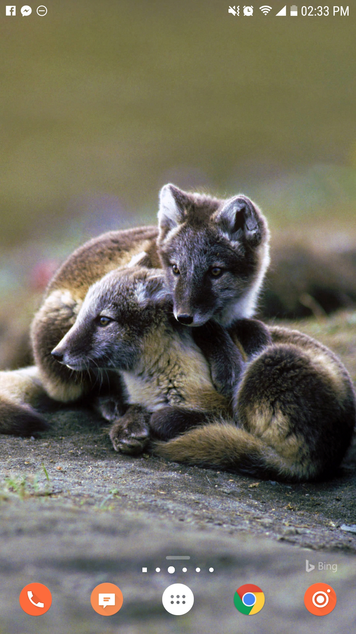 tempFileForShare_20170529-143342