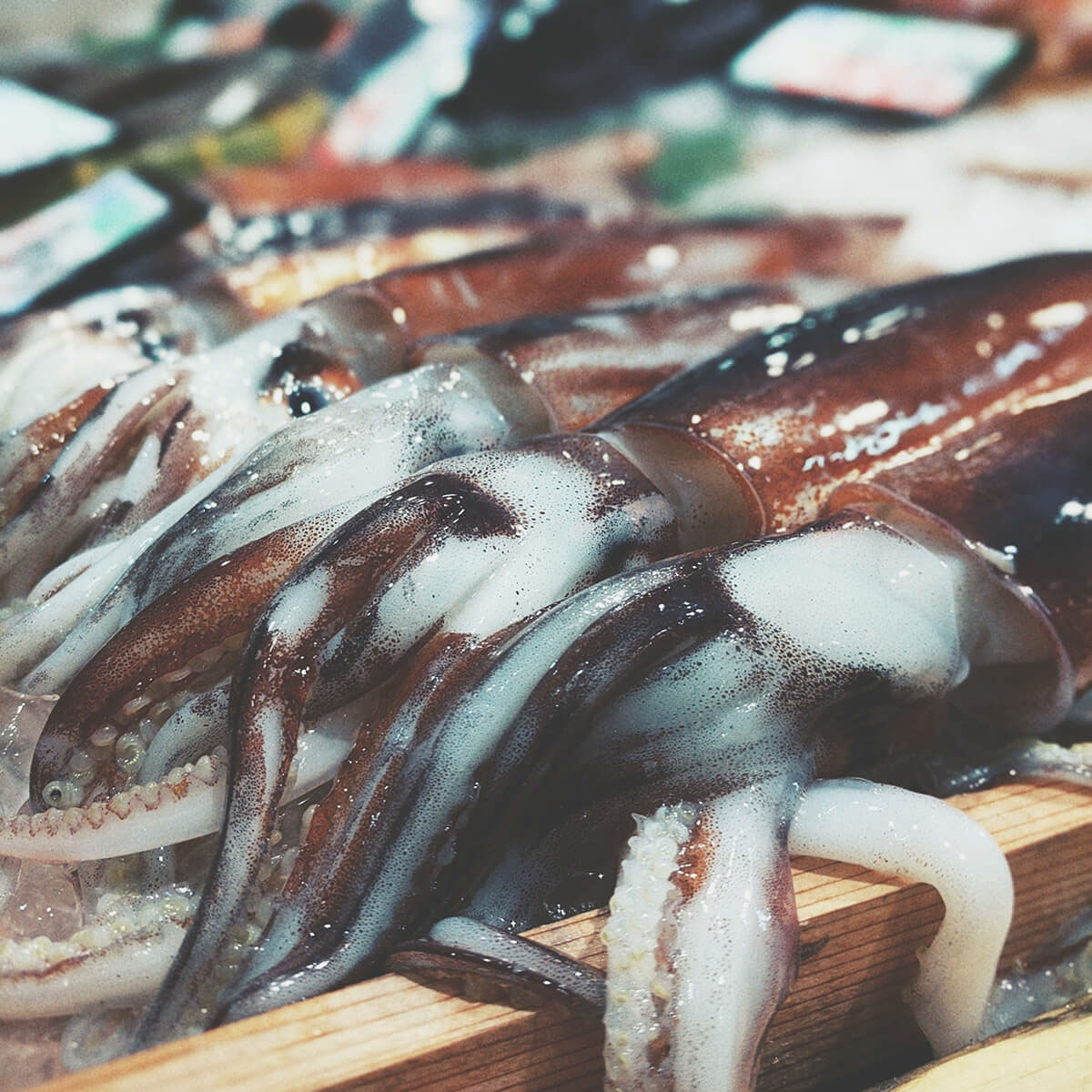 rgb_creative_knch123_e4