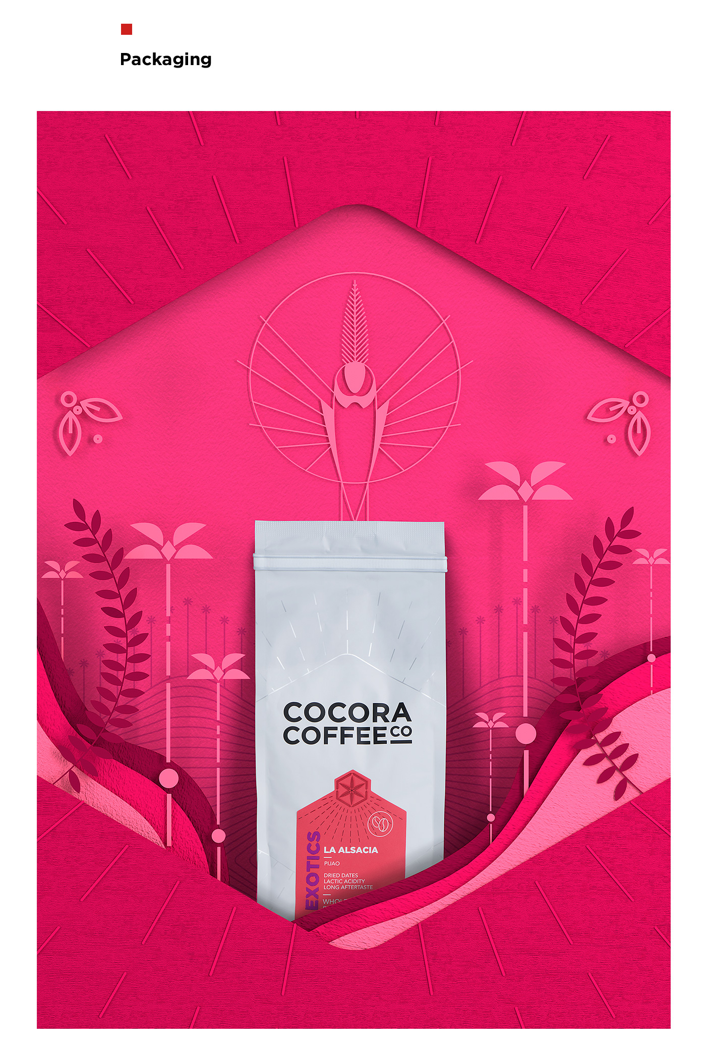 rgb_creative_thietkethuongcocora_7