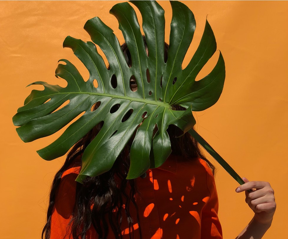 rgb_creative_Apple-iPhone-X-official-camera-samples_10