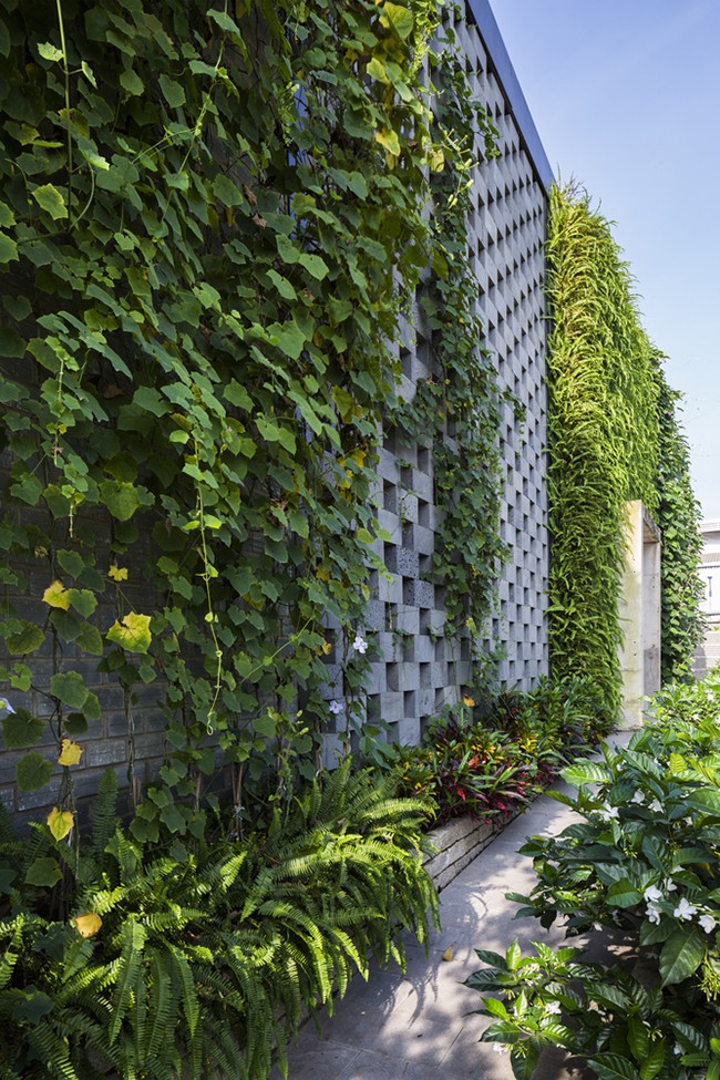 rgb_creative_design_kien_truc_nha_may_xanh_ho_chi_minh_8198