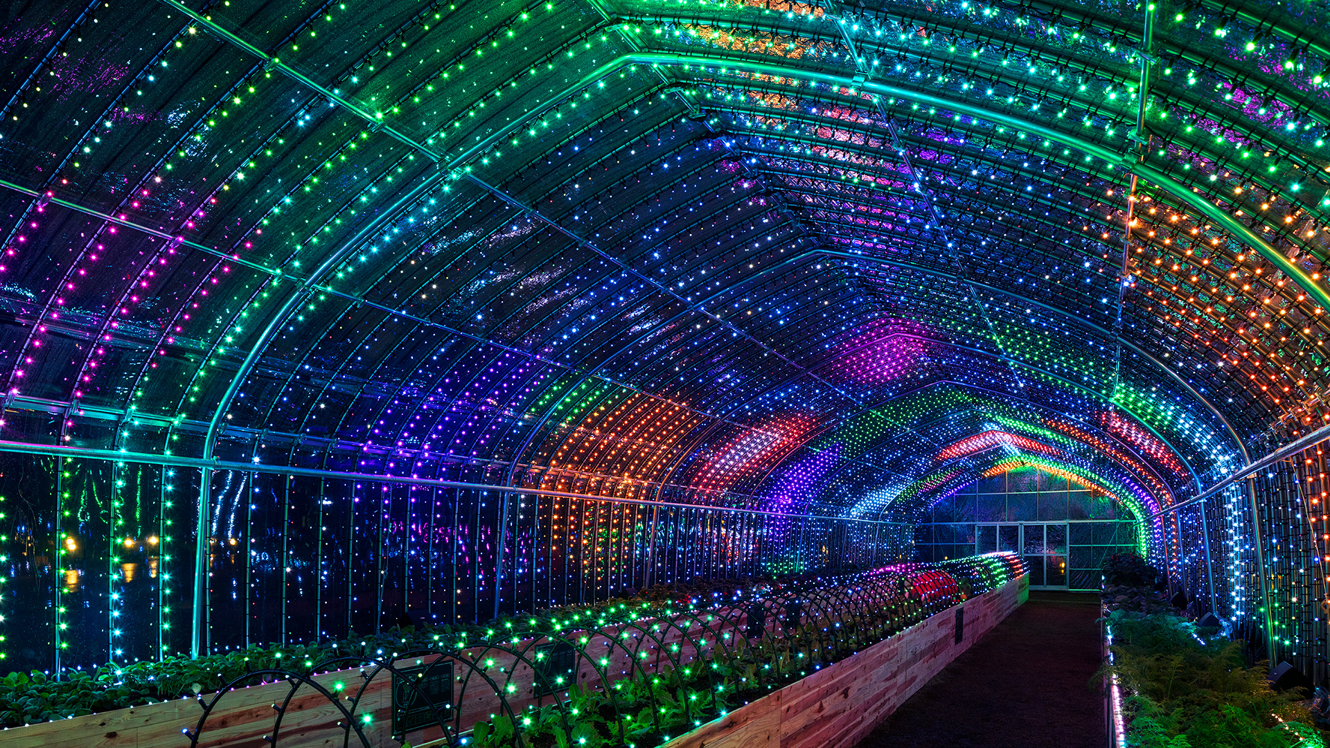 rgb_creative_ideas-digital-vegetable-japan-greenhouse-05