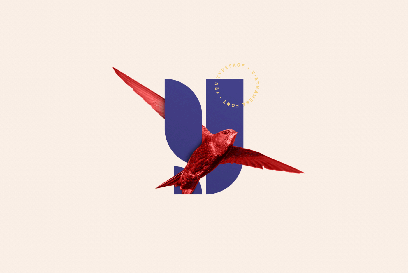 rgb_creative_ideas_design_art_blank_studio_YEN_typeface_vietnamese_024