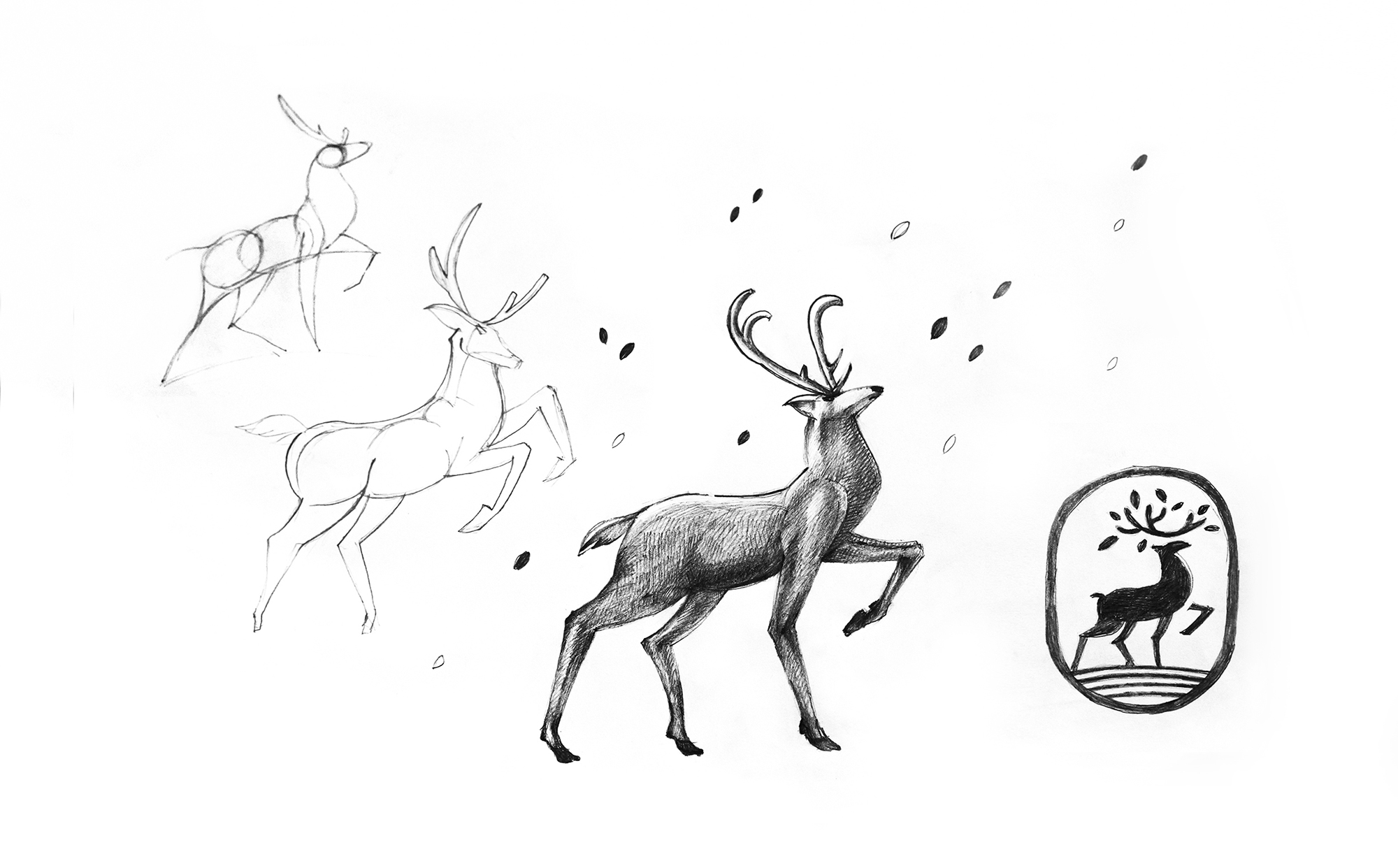 rgb_creative_ideas_design_packaging_bratus_omix_02