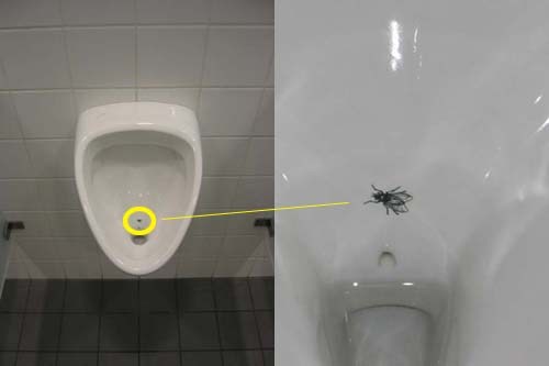 rgb_design_creative_ux_fly-in-the-urinal-munich-airport