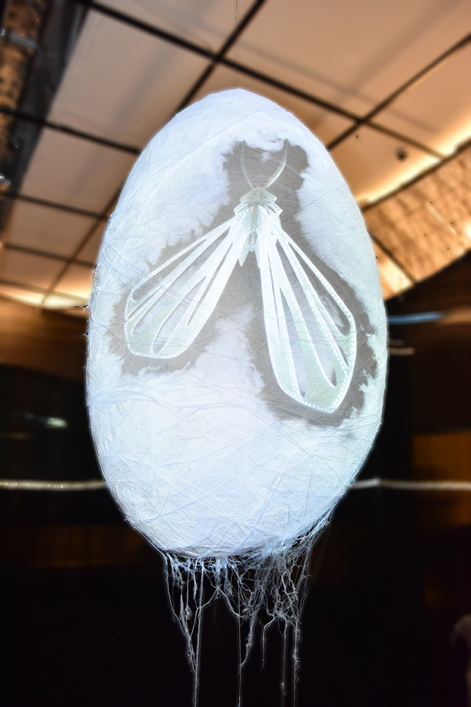 rgb-creative-trien-lam-nghe-thuat-Metamorphosis-03