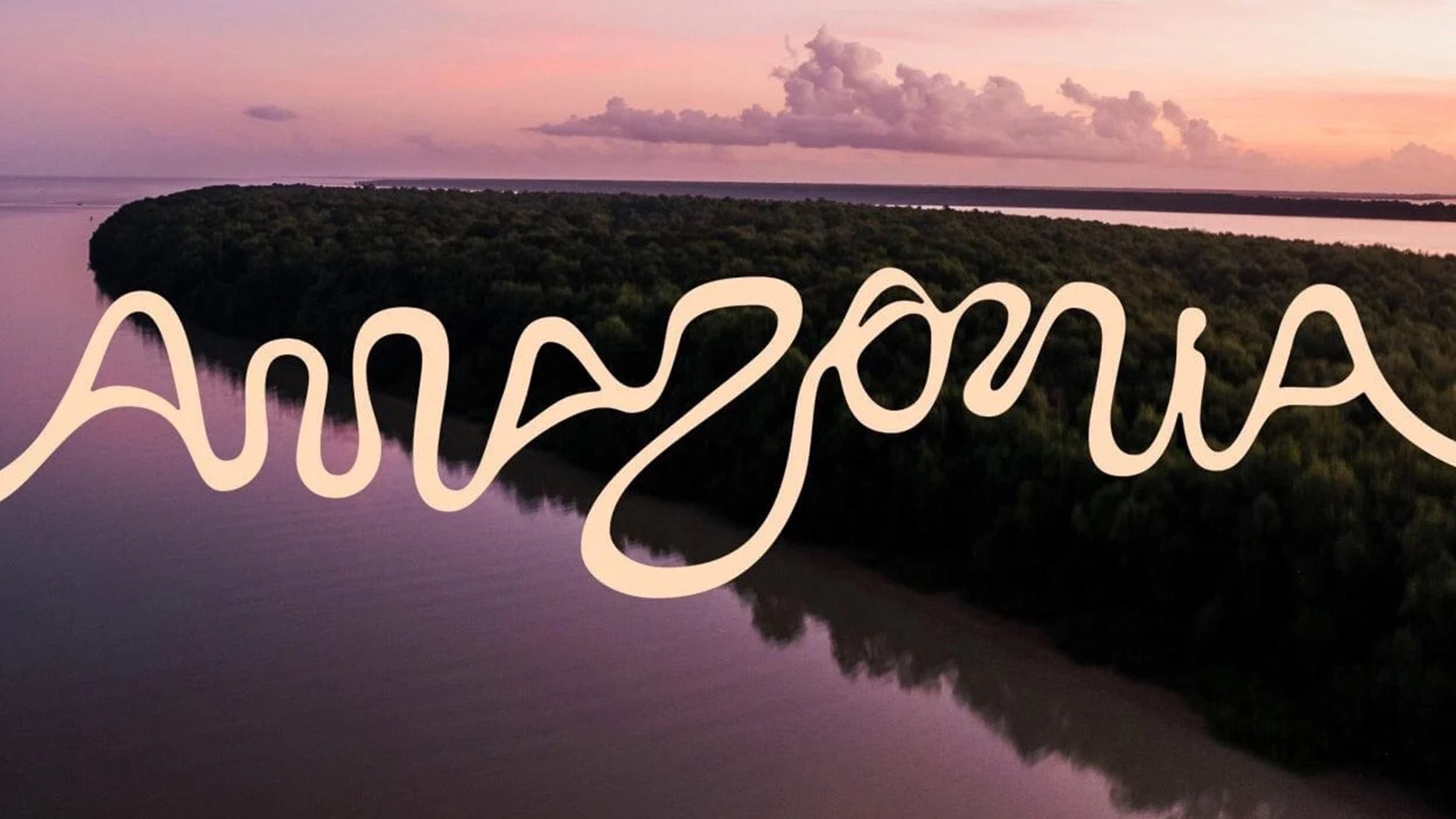 Amazon Inbound Logo Rừng Amazon ra mắt bộ nhận diện thương hiệu, logo được “thiết kế” bởi ...