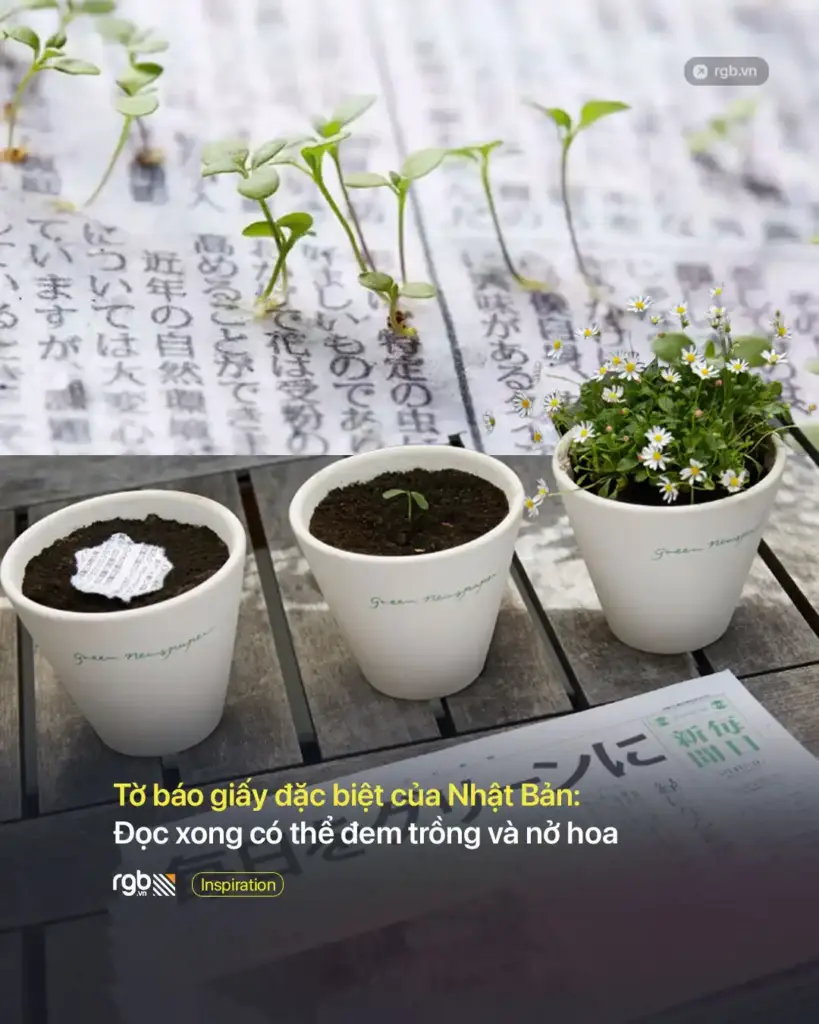 Tờ báo giấy đặc biệt của Nhật Bản, đọc xong có thể đem trồng và nở hoa
