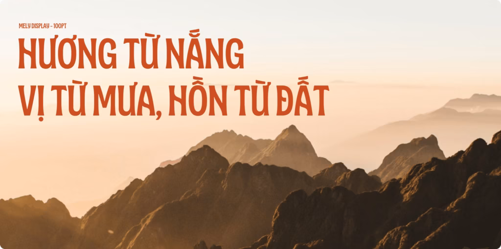 Mê Ly Display - bộ typeface tiếng Việt miễn phí do Collective Design Agency thiết kế
