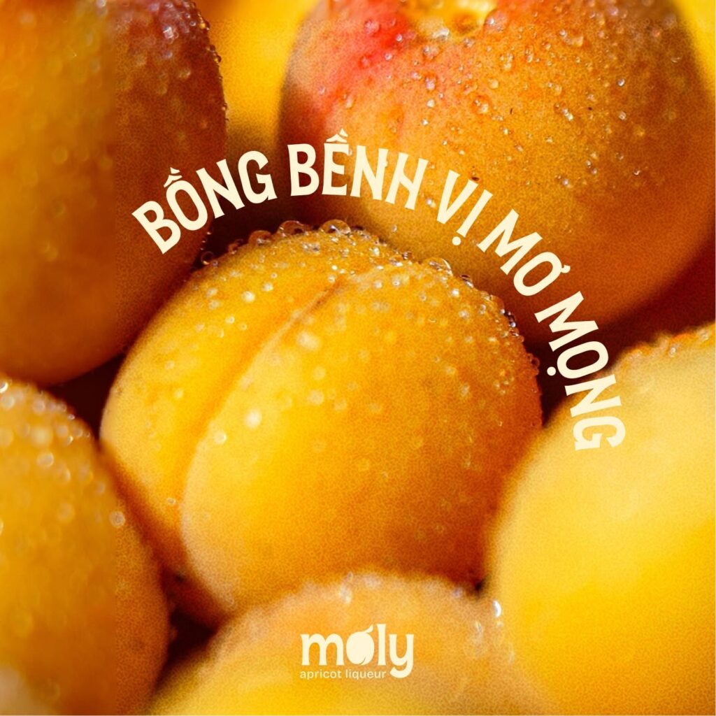Mê Ly Display - bộ typeface tiếng Việt miễn phí do Collective Design Agency thiết kế