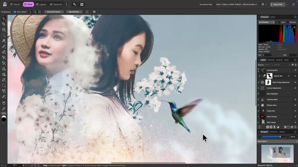 Những phần mềm chỉnh sửa ảnh miễn phí tốt nhất năm 2026 - free photo editing software